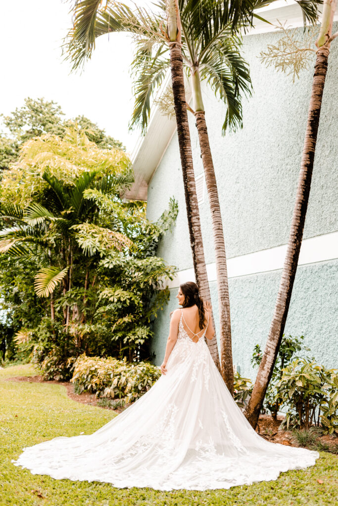 bridal pose photo portrait idea