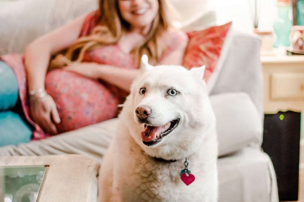 Harry Potter-themed maternity session | North Alabama, Georgia, and Tennessee photographer
