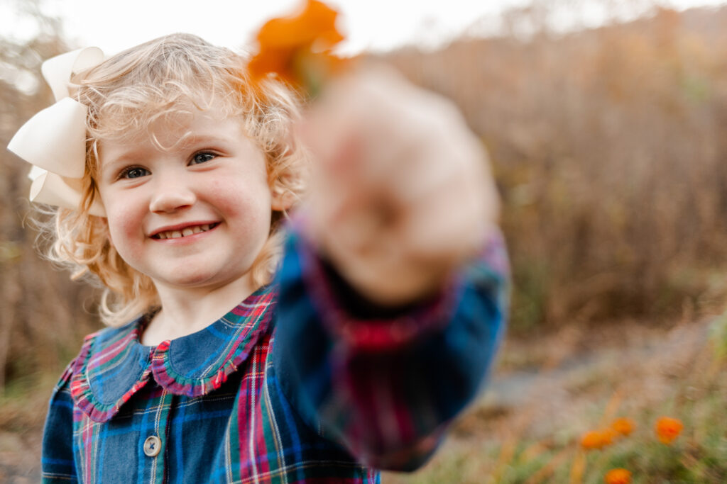 Fall Minis recap| North Alabama, Georgia, and Tennessee photographer